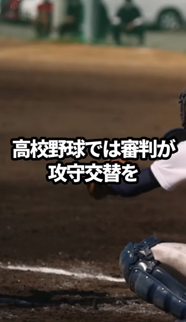 高校野球　代打　主審