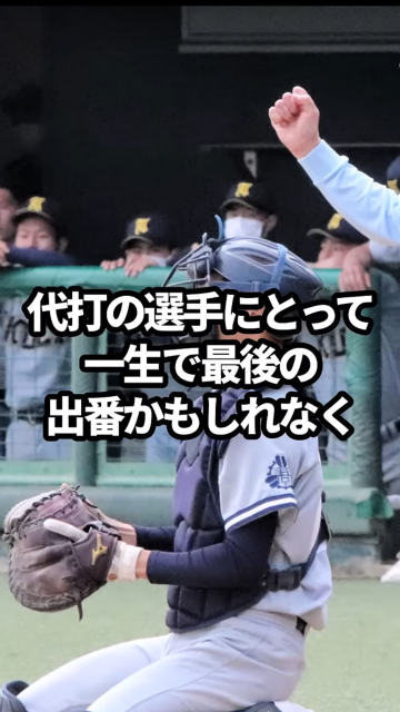 高校野球　代打　主審