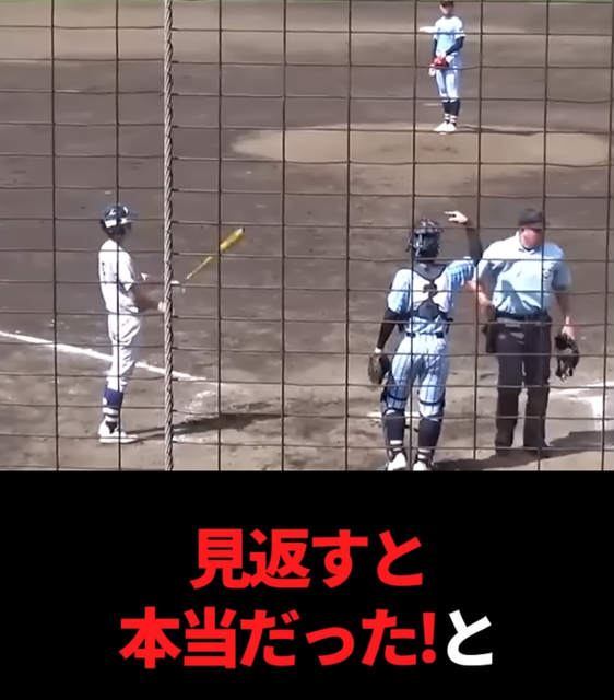 高校野球　代打　主審