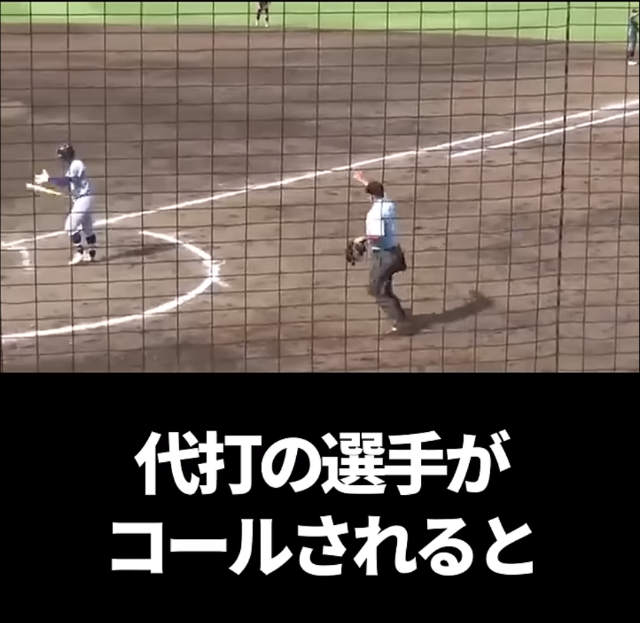 高校野球　代打　主審