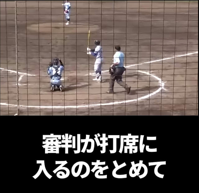 高校野球　代打　主審