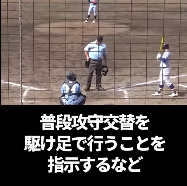 高校野球　代打　主審