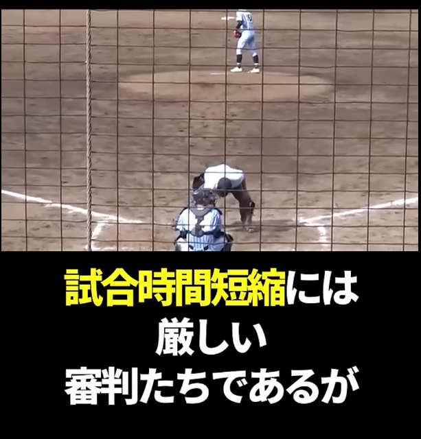 高校野球　代打　主審