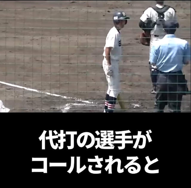 高校野球　代打　主審